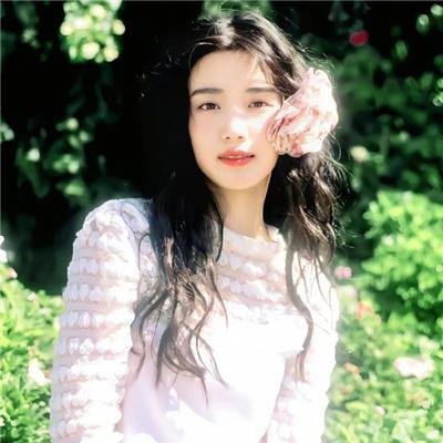 米歇尔先生的狗